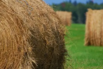 Hay jigsaw puzzle
