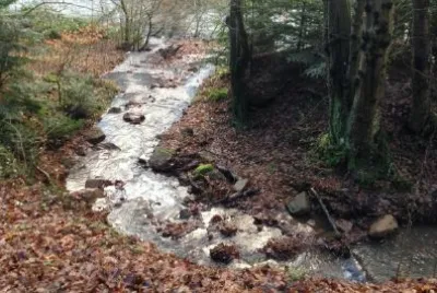 L'écoulement de l'eau