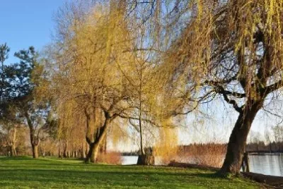 Парк до реката