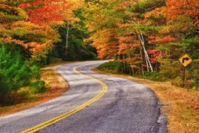 Slingrande höstväg