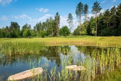 Paesaggio, Polonia