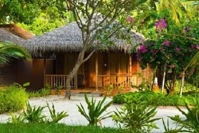 ジャングルのバンガロー