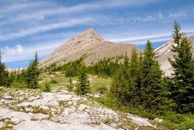 加拿大艾伯塔省絲帶湖卡納納斯基斯