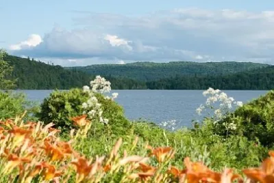 Widok na jezioro z kwiatami