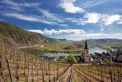 Vineyards at the Winding Mosel River near Bremm, Germany jigsaw puzzle