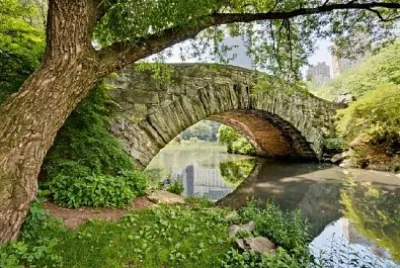 Ponte no Central Park