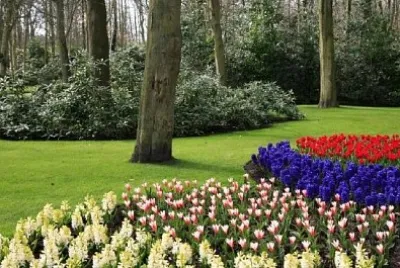 公園の春