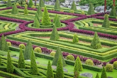 ネイチャーガーデンの観賞植物