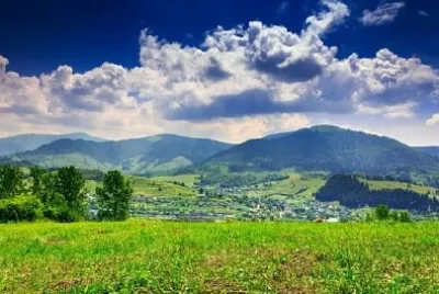 Wiese mit Bäumen und Sträuchern in den Bergen