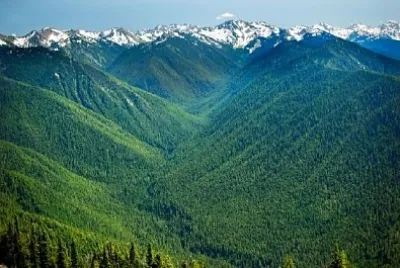 Olympic National Park, Washington, USA