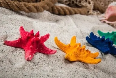 Слънчев тропически бряг