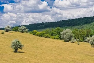פאזל של נוף כפרי