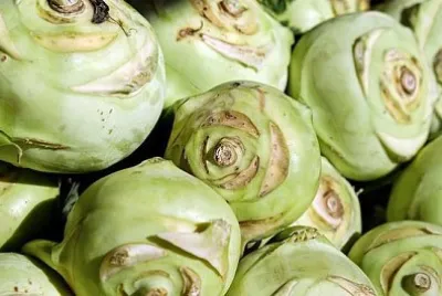 Festival del cavolo rapa