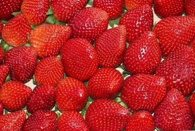 Fraise juteuse
