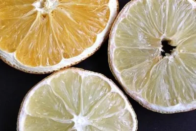 Fette di agrumi e limone