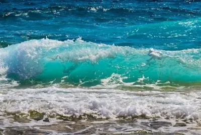 Fala plusk na plaży