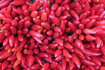 peperoncini rossi piccanti