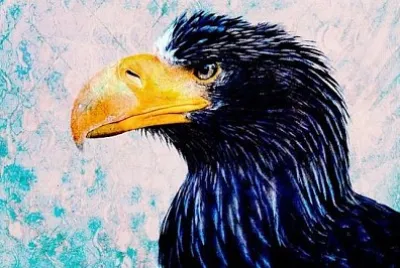 Bird Portrait jigsaw puzzle