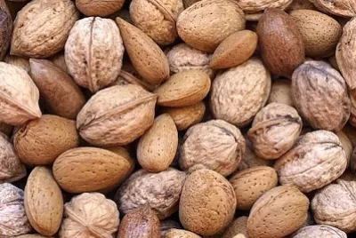 ドライフルーツ