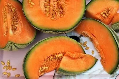 Вкусен пъпеш