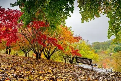 Banc dans le parc d'automne sous la pluie