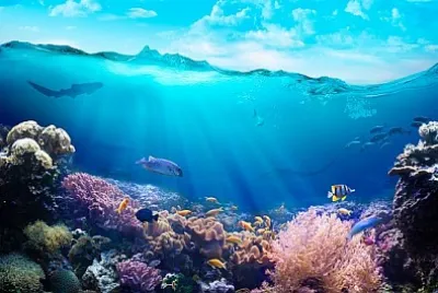 Vista subacquea della barriera corallina