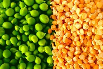 Legumi all'arancia e piselli