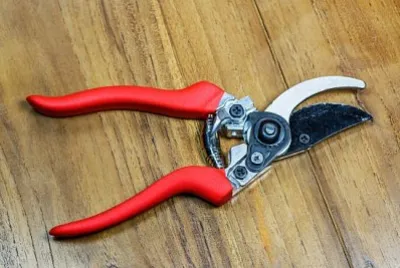 Tijeras de podar rojas sobre fondo de madera