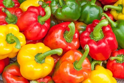 Färgglada söta paprikor