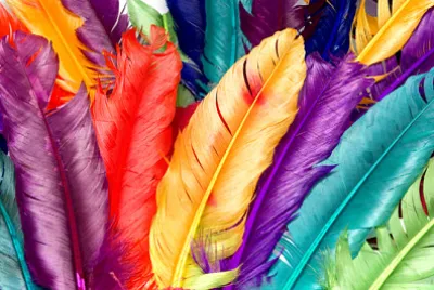 Gli uccelli da colorare pizzicano