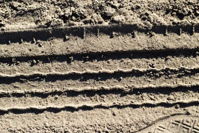 Zahlen auf grünem Frühlingsgras aus Holzstab