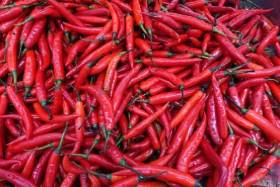 新鮮な赤唐辛子の背景のクローズアップ、選択的