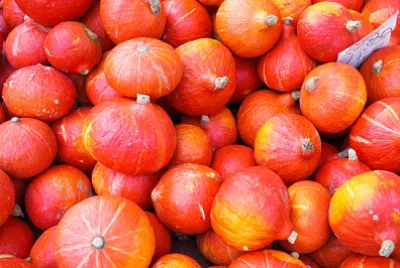 Beaucoup de citrouilles d'automne rouges sur le marché
