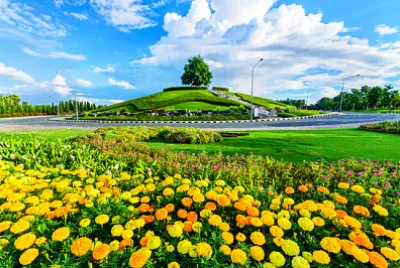 Ringblommor (Tagetes erecta) och andra blommor i pu