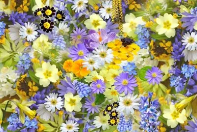 פאזל של מיטת פרחים