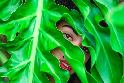 Pessoa Atrás de Folhas Verdes