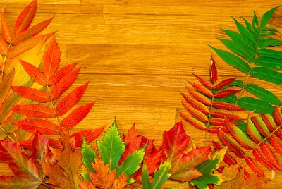 Jesienne liście na drewnianym stole