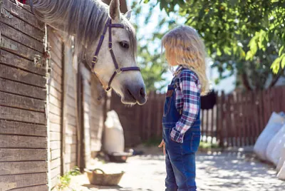 白い馬を見ている子供