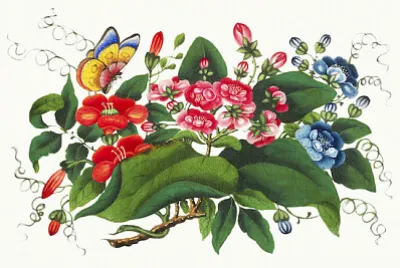 Peinture de fleurs chinoises de la dynastie Qing