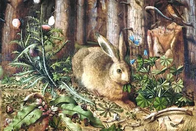 En hare i skogen (1585)