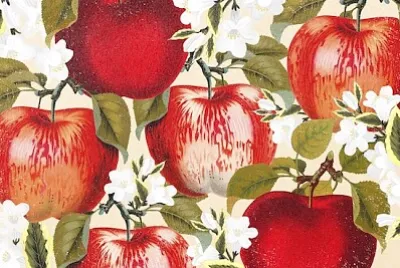 Röd Apple Blossom Illustration