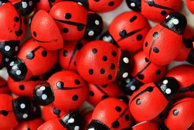 Mariquitas rojas en miniatura