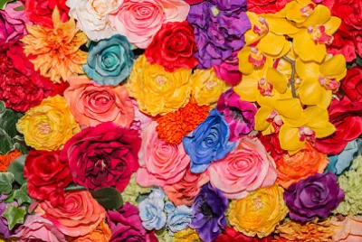 פאזל של כל כך הרבה פרחים