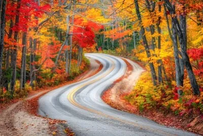 Autumn Forest jigsaw puzzle