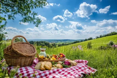 Piquenique de verão no campo