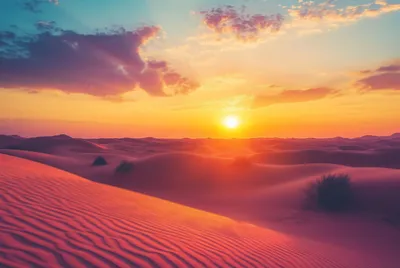 Wschód słońca na pustyni