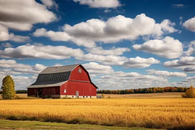 Grange rustique au milieu des champs d'automne