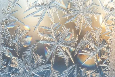 Frostkristalle auf Glas