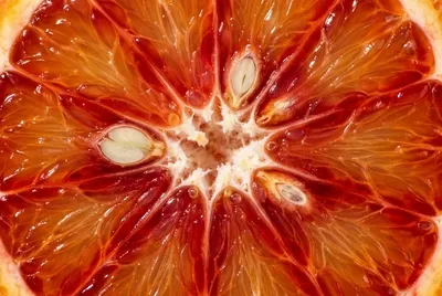 Fatia de cítricos com iluminação traseira