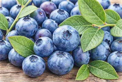 Blueberry (Daily) jigsaw puzzle